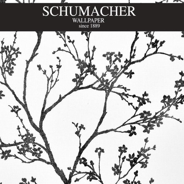 Authorized Dealer of 5008942 by Schumacher Wallpaper at Designer Wallpapers and Fabrics, Your online resource since 2007