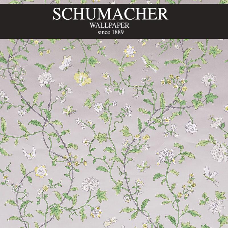 Authorized Dealer of 5009111 by Schumacher Wallpaper at Designer Wallpapers and Fabrics, Your online resource since 2007