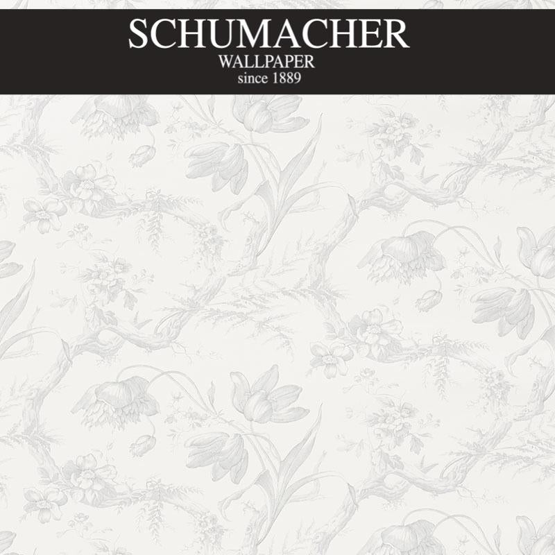 Authorized Dealer of 5009120 by Schumacher Wallpaper at Designer Wallpapers and Fabrics, Your online resource since 2007