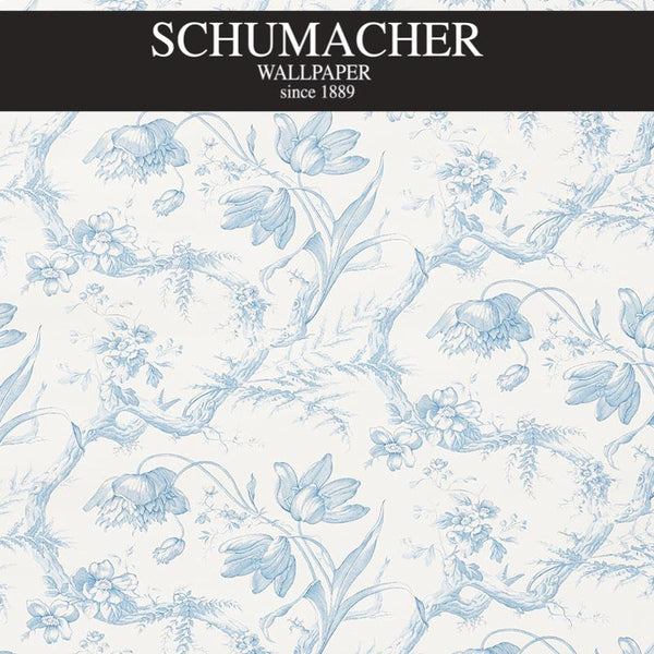 Authorized Dealer of 5009121 by Schumacher Wallpaper at Designer Wallpapers and Fabrics, Your online resource since 2007