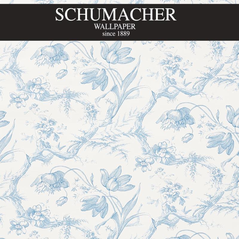 Authorized Dealer of 5009121 by Schumacher Wallpaper at Designer Wallpapers and Fabrics, Your online resource since 2007