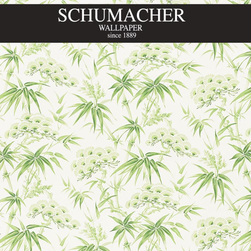 Authorized Dealer of 5009141 by Schumacher Wallpaper at Designer Wallpapers and Fabrics, Your online resource since 2007