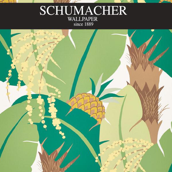 Authorized Dealer of 5009173 by Schumacher Wallpaper at Designer Wallpapers and Fabrics, Your online resource since 2007