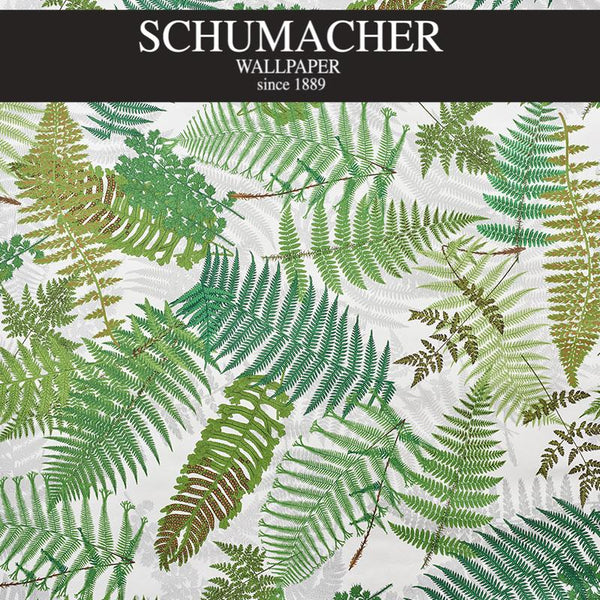 Authorized Dealer of 5009190 by Schumacher Wallpaper at Designer Wallpapers and Fabrics, Your online resource since 2007