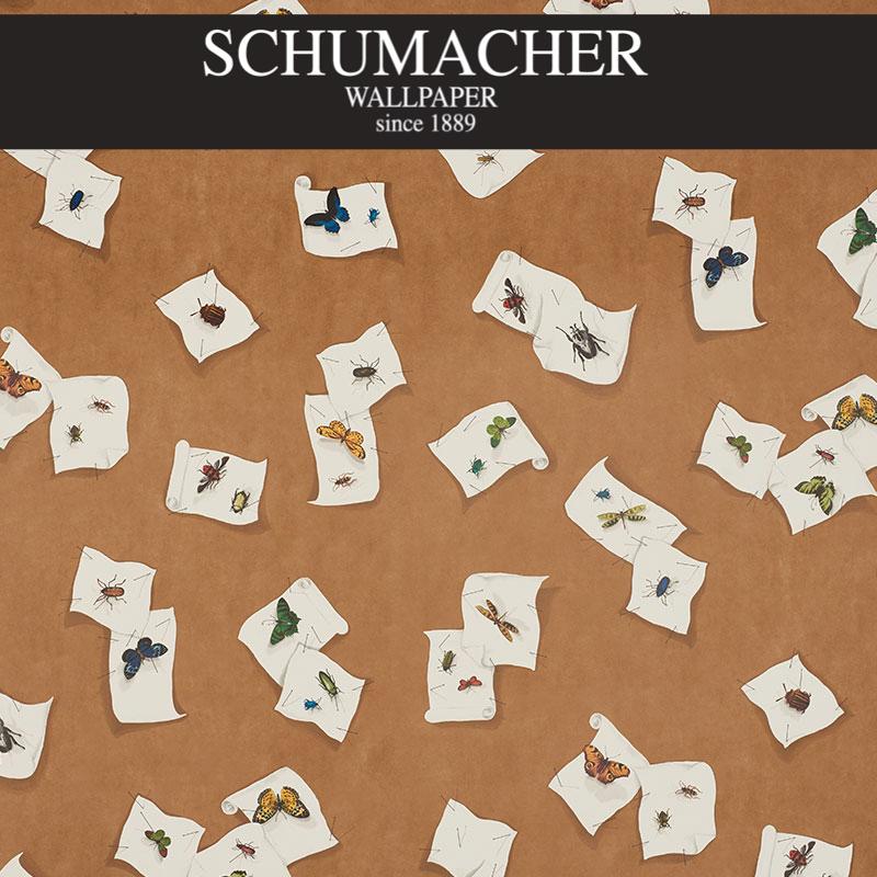 Authorized Dealer of 5009340 by Schumacher Wallpaper at Designer Wallpapers and Fabrics, Your online resource since 2007