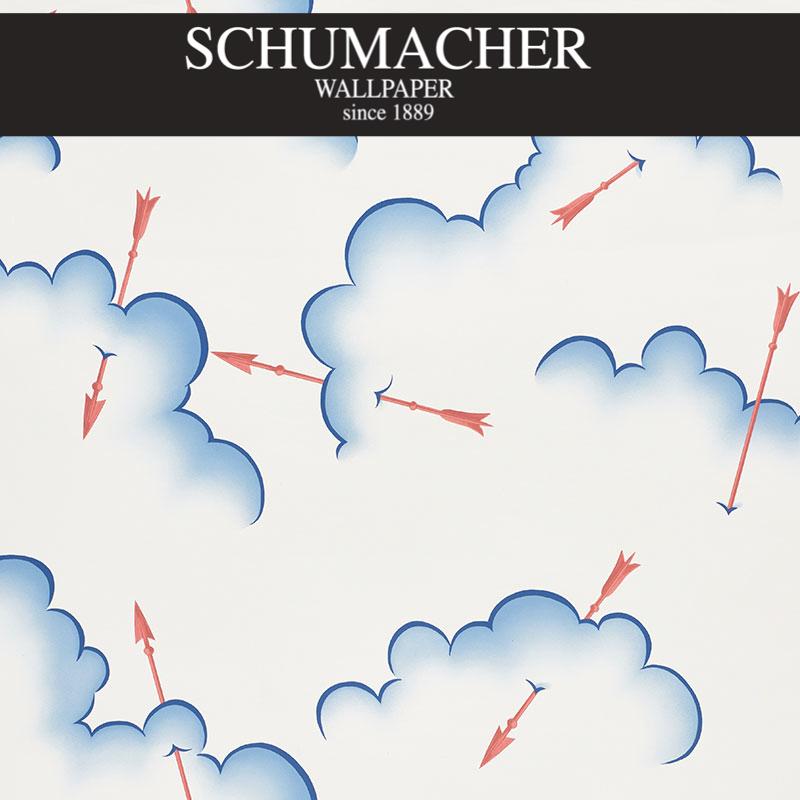 Authorized Dealer of 5009350 by Schumacher Wallpaper at Designer Wallpapers and Fabrics, Your online resource since 2007