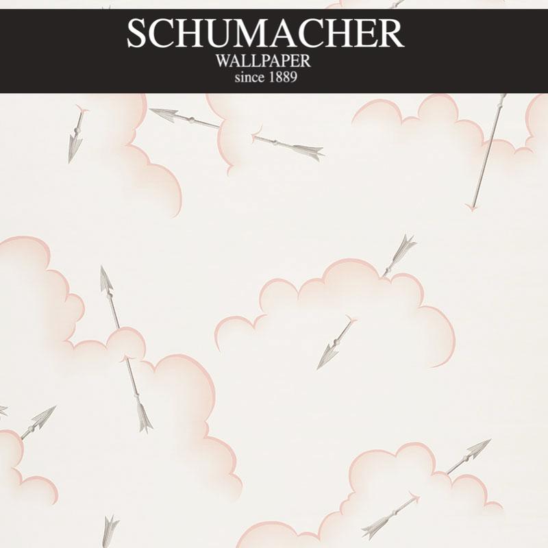 Authorized Dealer of 5009351 by Schumacher Wallpaper at Designer Wallpapers and Fabrics, Your online resource since 2007
