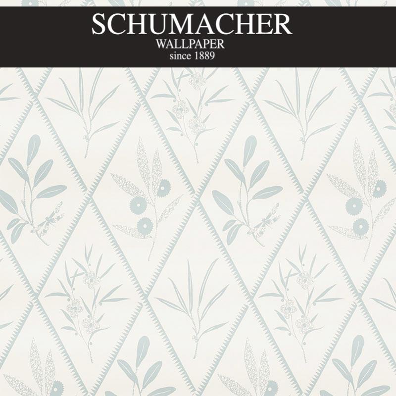 Authorized Dealer of 5009370 by Schumacher Wallpaper at Designer Wallpapers and Fabrics, Your online resource since 2007