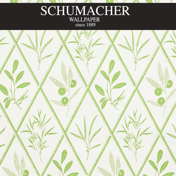 Authorized Dealer of 5009371 by Schumacher Wallpaper at Designer Wallpapers and Fabrics, Your online resource since 2007