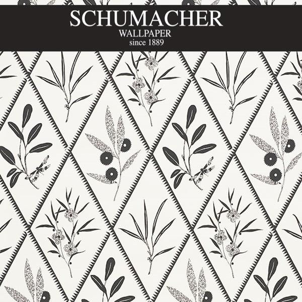 Authorized Dealer of 5009373 by Schumacher Wallpaper at Designer Wallpapers and Fabrics, Your online resource since 2007