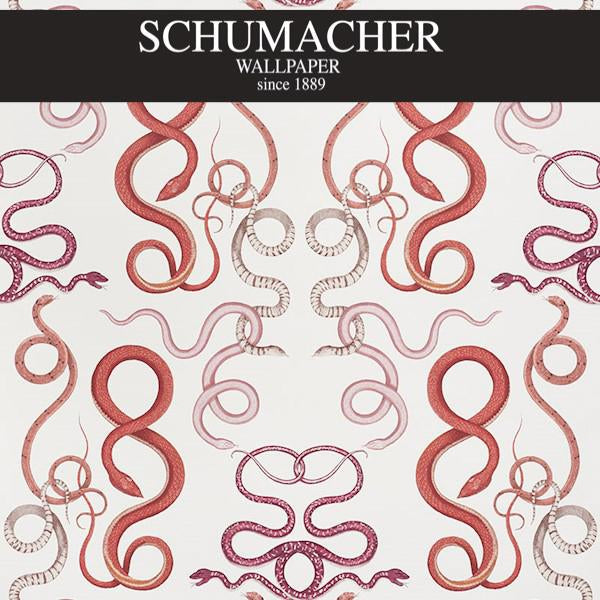 Authorized Dealer of 5009461 by Schumacher Wallpaper at Designer Wallpapers and Fabrics, Your online resource since 2007