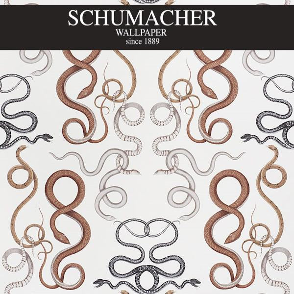 Authorized Dealer of 5009462 by Schumacher Wallpaper at Designer Wallpapers and Fabrics, Your online resource since 2007