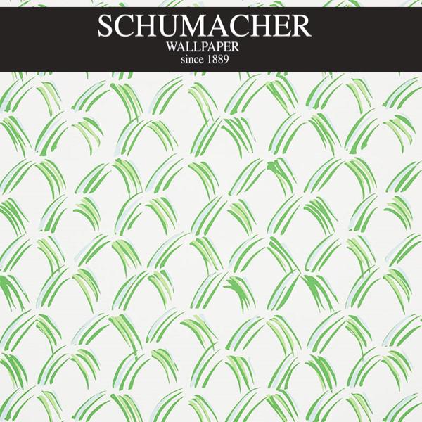 Authorized Dealer of 5009541 by Schumacher Wallpaper at Designer Wallpapers and Fabrics, Your online resource since 2007