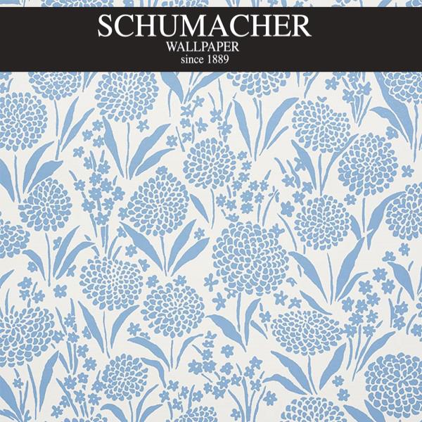 Authorized Dealer of 5009550 by Schumacher Wallpaper at Designer Wallpapers and Fabrics, Your online resource since 2007