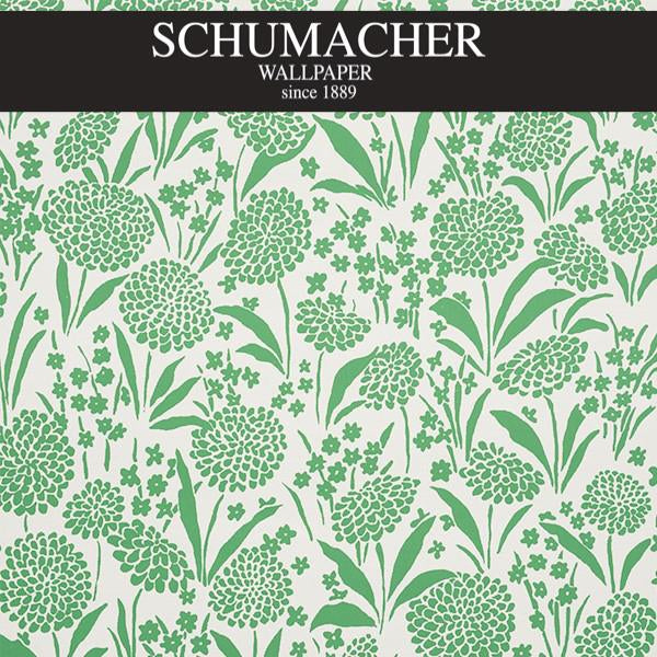 Authorized Dealer of 5009551 by Schumacher Wallpaper at Designer Wallpapers and Fabrics, Your online resource since 2007