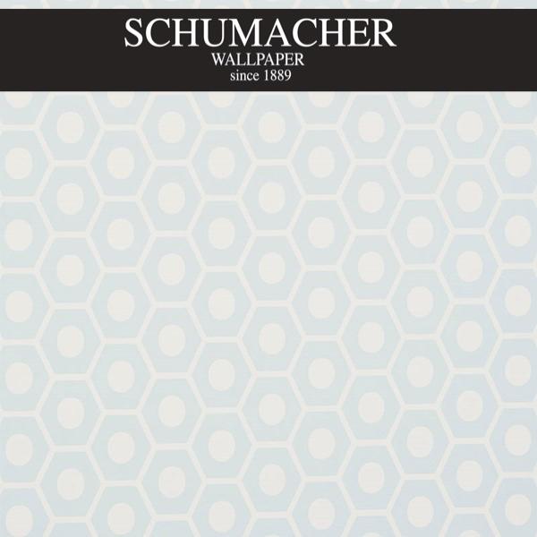 Authorized Dealer of 5009572 by Schumacher Wallpaper at Designer Wallpapers and Fabrics, Your online resource since 2007