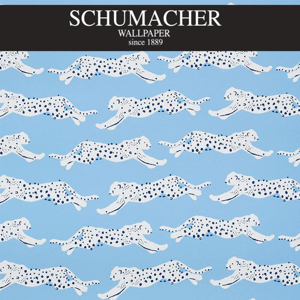 Authorized Dealer of 5009590 by Schumacher Wallpaper at Designer Wallpapers and Fabrics, Your online resource since 2007