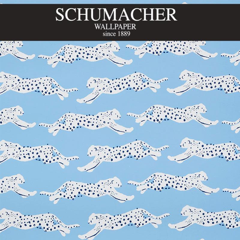 Authorized Dealer of 5009590 by Schumacher Wallpaper at Designer Wallpapers and Fabrics, Your online resource since 2007
