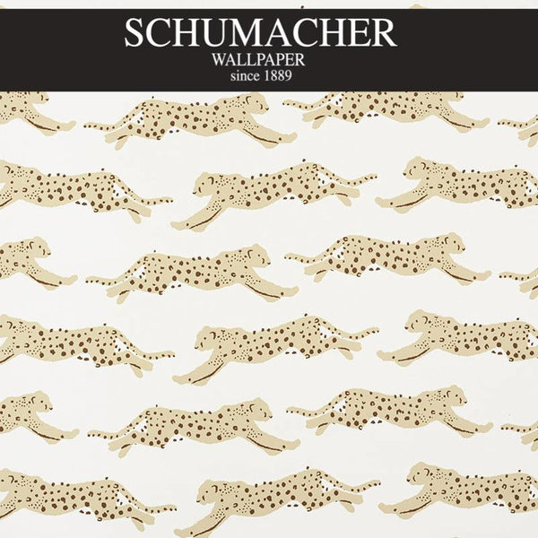 Authorized Dealer of 5009591 by Schumacher Wallpaper at Designer Wallpapers and Fabrics, Your online resource since 2007