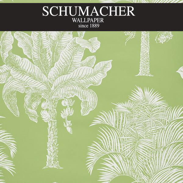Authorized Dealer of 5009620 by Schumacher Wallpaper at Designer Wallpapers and Fabrics, Your online resource since 2007