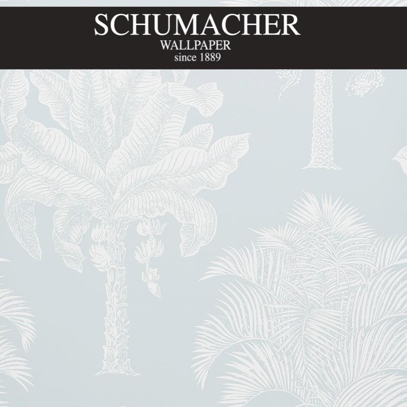 Authorized Dealer of 5009621 by Schumacher Wallpaper at Designer Wallpapers and Fabrics, Your online resource since 2007