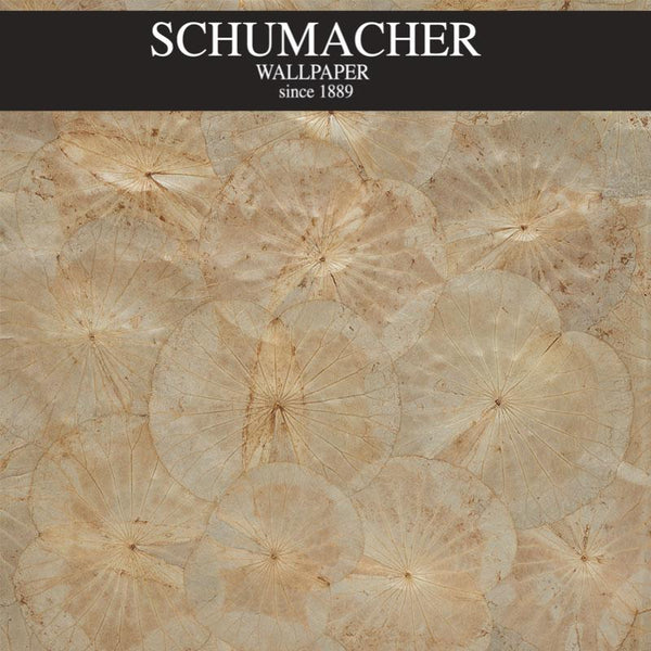 Authorized Dealer of 5009660 by Schumacher Wallpaper at Designer Wallpapers and Fabrics, Your online resource since 2007