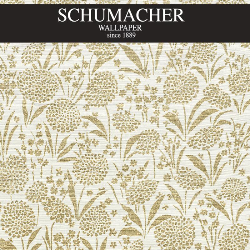 Authorized Dealer of 5009782 by Schumacher Wallpaper at Designer Wallpapers and Fabrics, Your online resource since 2007
