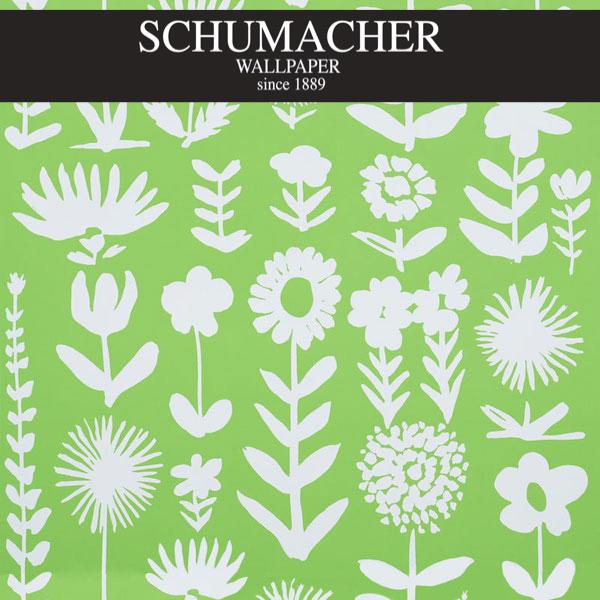 Authorized Dealer of 5009811 by Schumacher Wallpaper at Designer Wallpapers and Fabrics, Your online resource since 2007