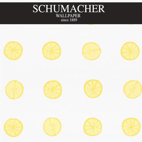 Authorized Dealer of 5009820 by Schumacher Wallpaper at Designer Wallpapers and Fabrics, Your online resource since 2007
