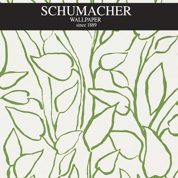 Authorized Dealer of 5010070 by Schumacher Wallpaper at Designer Wallpapers and Fabrics, Your online resource since 2007