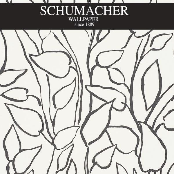 Authorized Dealer of 5010071 by Schumacher Wallpaper at Designer Wallpapers and Fabrics, Your online resource since 2007