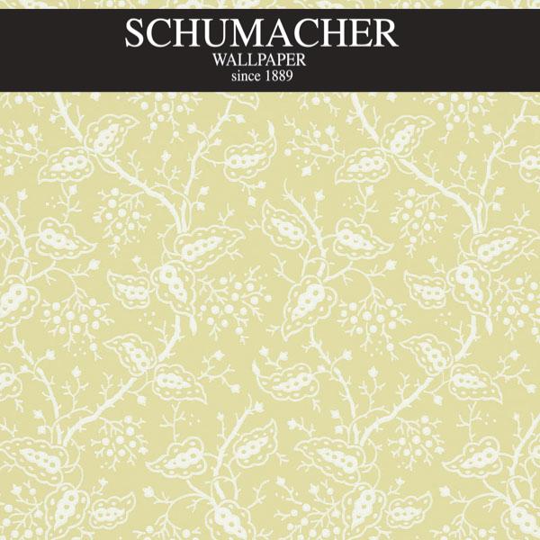 Authorized Dealer of 5010182 by Schumacher Wallpaper at Designer Wallpapers and Fabrics, Your online resource since 2007
