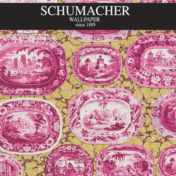 Authorized Dealer of 5010412 by Schumacher Wallpaper at Designer Wallpapers and Fabrics, Your online resource since 2007