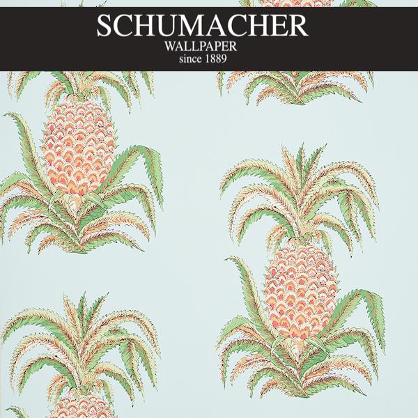 Authorized Dealer of 5010450 by Schumacher Wallpaper at Designer Wallpapers and Fabrics, Your online resource since 2007