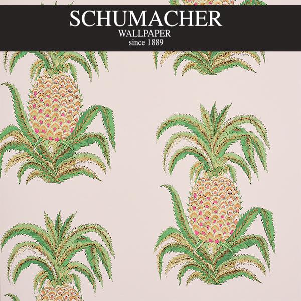 Authorized Dealer of 5010451 by Schumacher Wallpaper at Designer Wallpapers and Fabrics, Your online resource since 2007