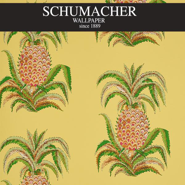 Authorized Dealer of 5010452 by Schumacher Wallpaper at Designer Wallpapers and Fabrics, Your online resource since 2007
