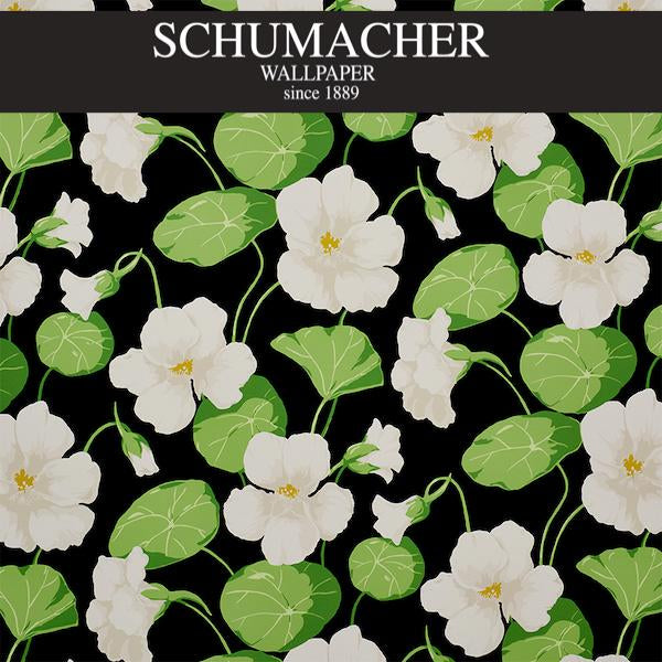 Authorized Dealer of 5010470 by Schumacher Wallpaper at Designer Wallpapers and Fabrics, Your online resource since 2007
