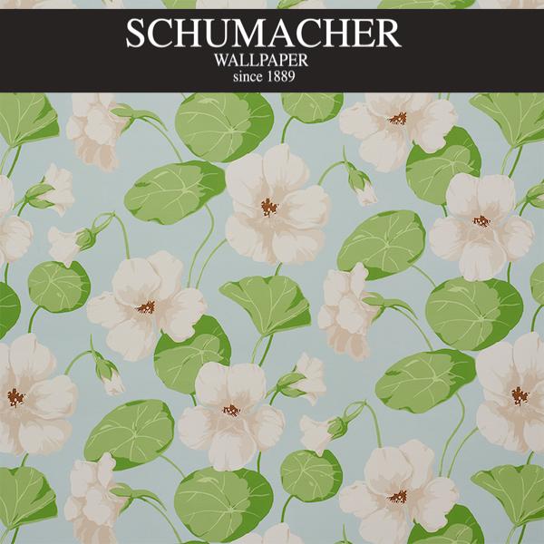 Authorized Dealer of 5010471 by Schumacher Wallpaper at Designer Wallpapers and Fabrics, Your online resource since 2007