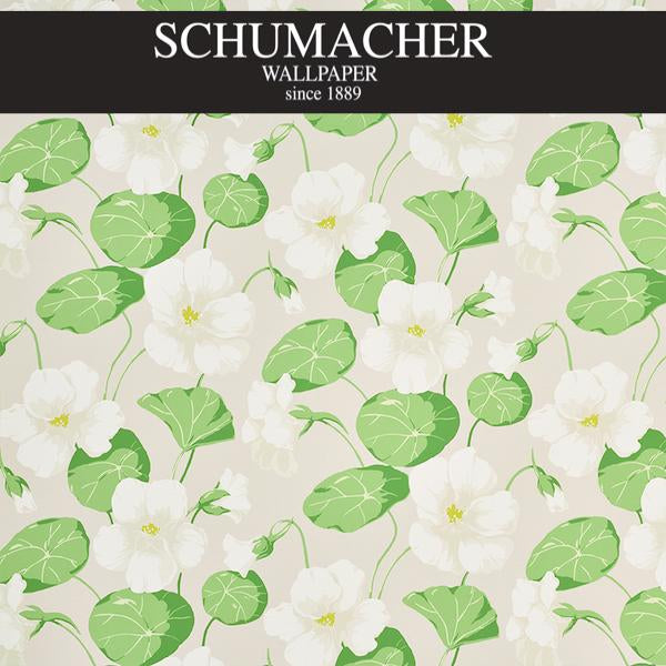 Authorized Dealer of 5010472 by Schumacher Wallpaper at Designer Wallpapers and Fabrics, Your online resource since 2007