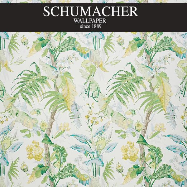Authorized Dealer of 5010480 by Schumacher Wallpaper at Designer Wallpapers and Fabrics, Your online resource since 2007
