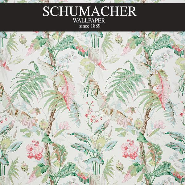 Authorized Dealer of 5010481 by Schumacher Wallpaper at Designer Wallpapers and Fabrics, Your online resource since 2007