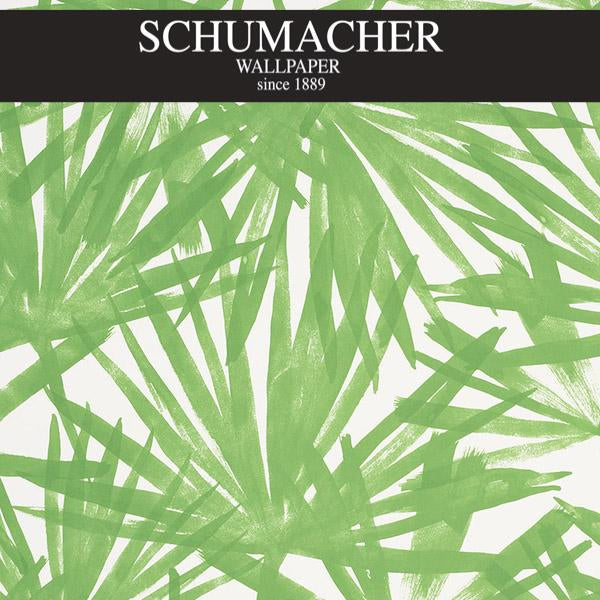 Authorized Dealer of 5010560 by Schumacher Wallpaper at Designer Wallpapers and Fabrics, Your online resource since 2007