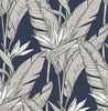 Malibu PS Birds of Paradise Tropical Floral - Navy Blue & Metallic Pewter | Peel and Stick Removable Wallpaper
