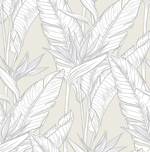 Malibu Ps Birds of Paradise Tropical Floral - Pearl Grey & Metallic Silver | Peel and Stick Removable Wallcovering
