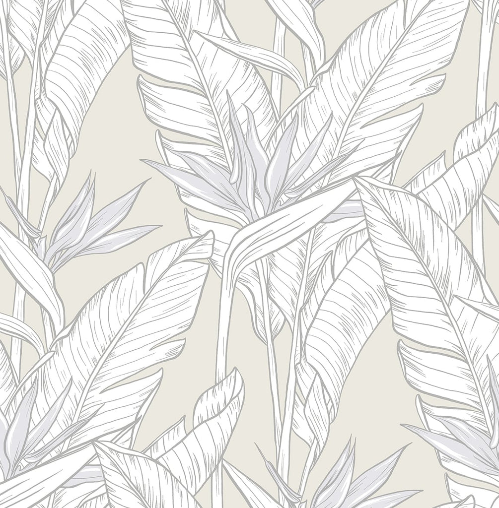 Malibu PS Birds of Paradise Tropical Floral - Pearl Grey & Metallic Silver | Peel and Stick Removable Wallpaper