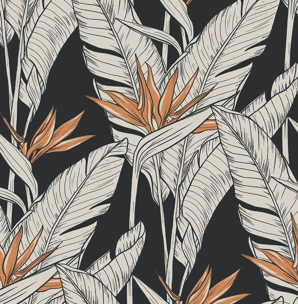 Malibu PS Birds of Paradise Tropical Floral - Onyx & Metallic Copper | Peel and Stick Removable Wallpaper