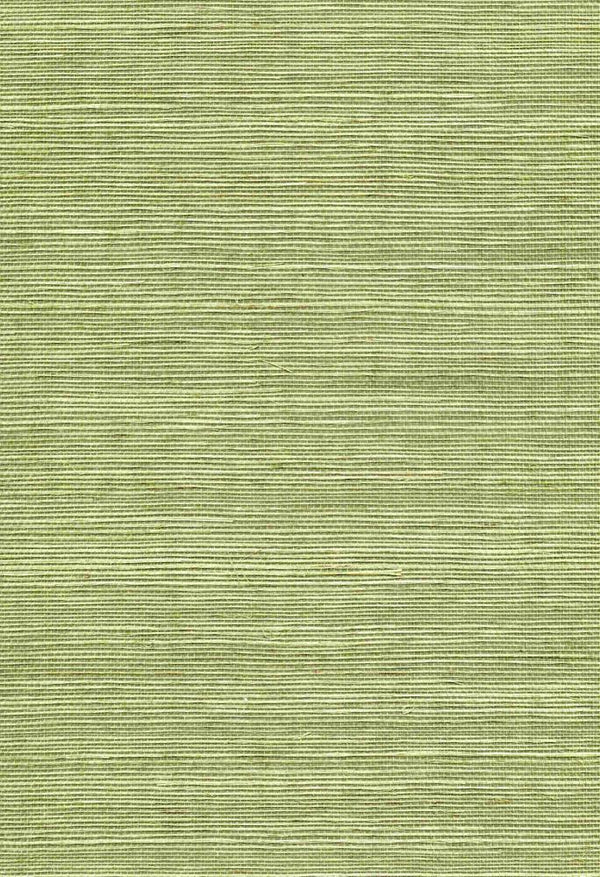 Cinque Terre Seagrass - Greens Wallcovering | Phillipe Romano