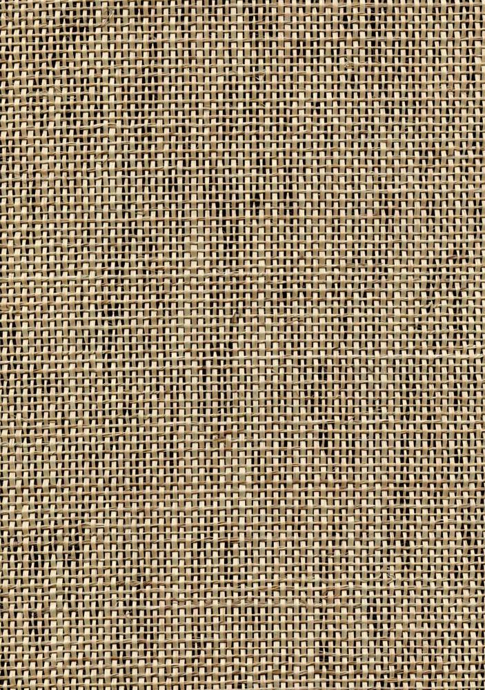 DWPW-430122 Wallcovering by Phillipe Romano
