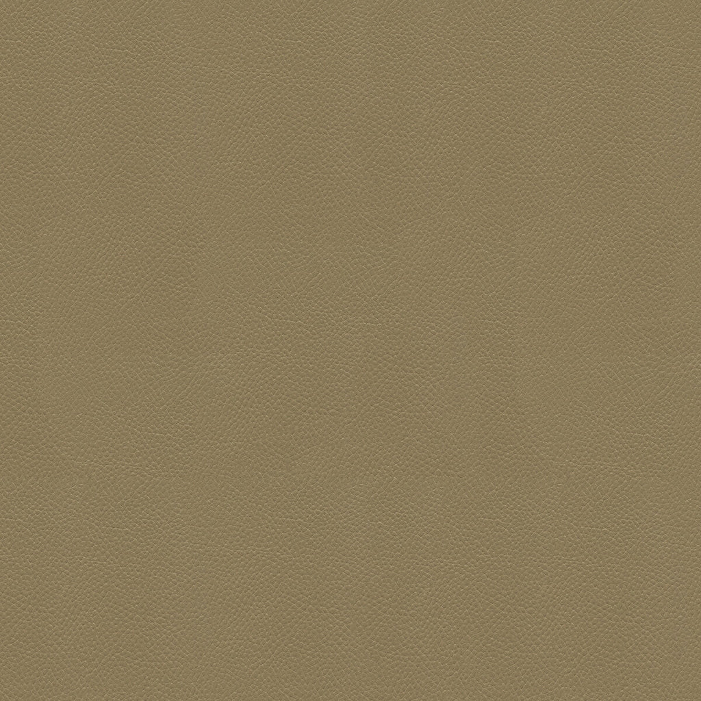 Samples and Purchasing available for Side Kick - Taupe Taupe By Kravet Couture |  |Solid Texture Upholstery Vinyl/Faux Leather at Designer Wallcoverings and Fabrics