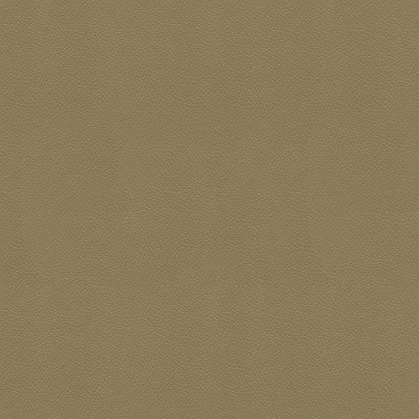Samples and Purchasing available for Side Kick - Taupe Taupe By Kravet Couture |  |Solid Texture Upholstery Vinyl/Faux Leather at Designer Wallcoverings and Fabrics